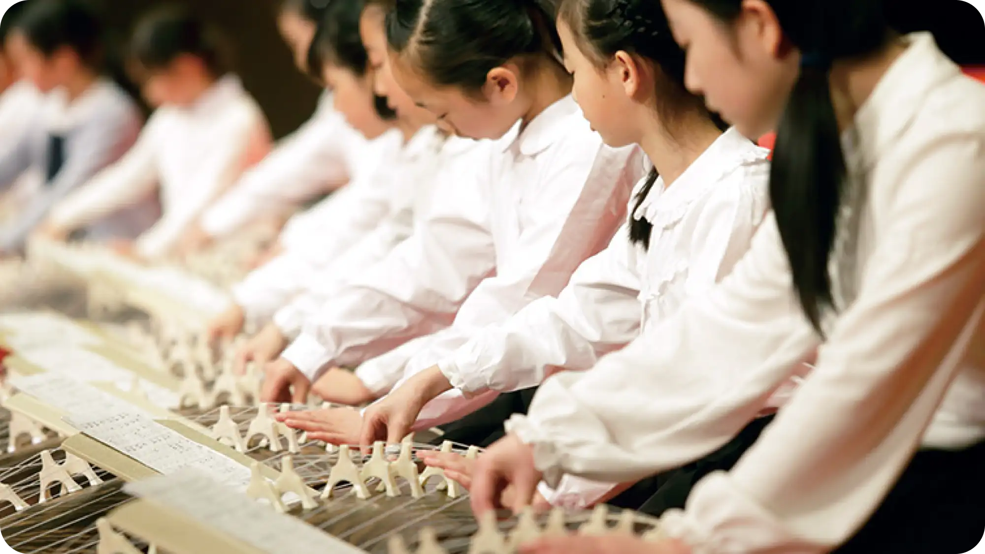 箏を練習している様子